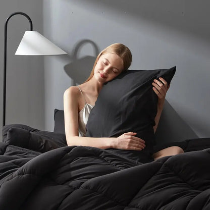 Warm Fall & Winter Checkered Down Alternative Comforter Set, 1 Comforter & 2 Pillowcases